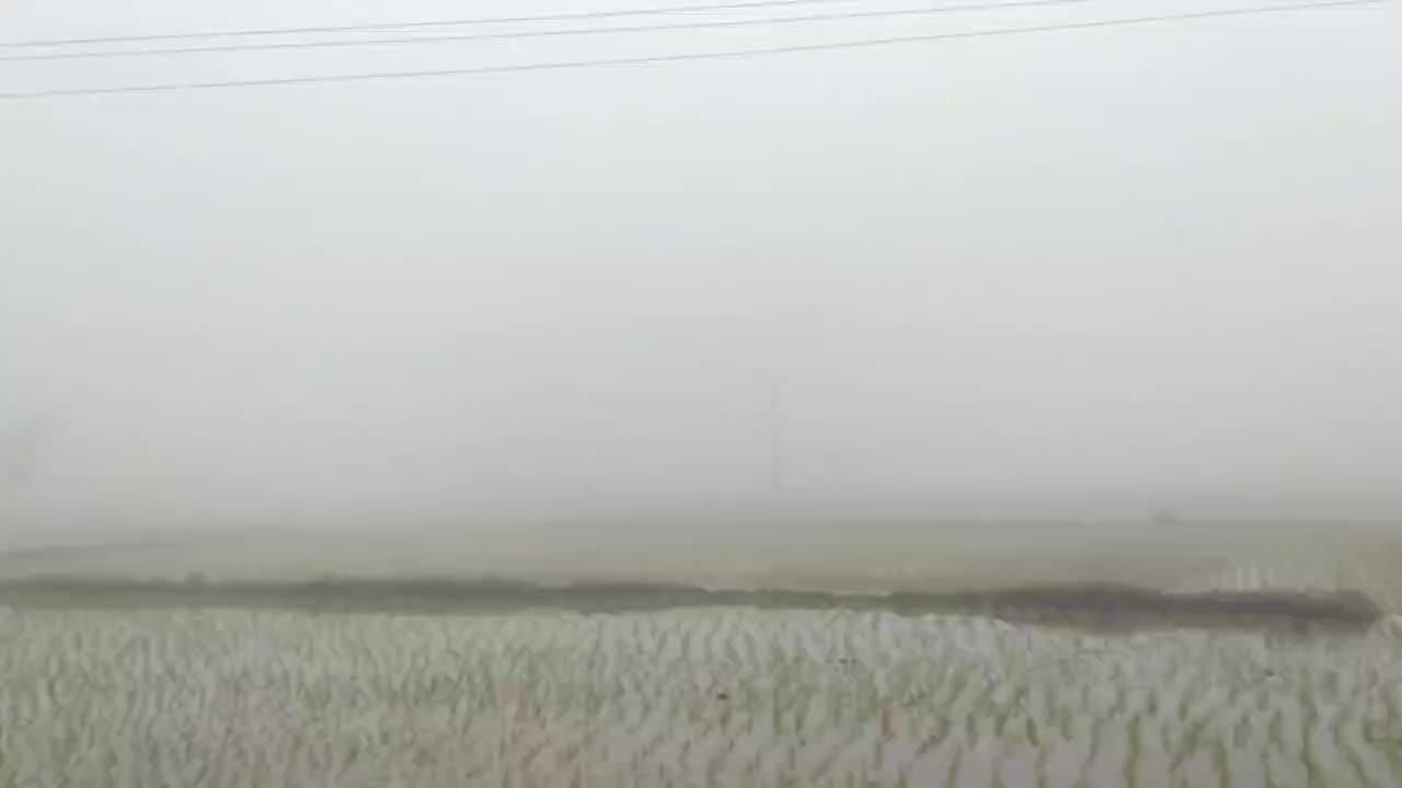 @user8239974086981