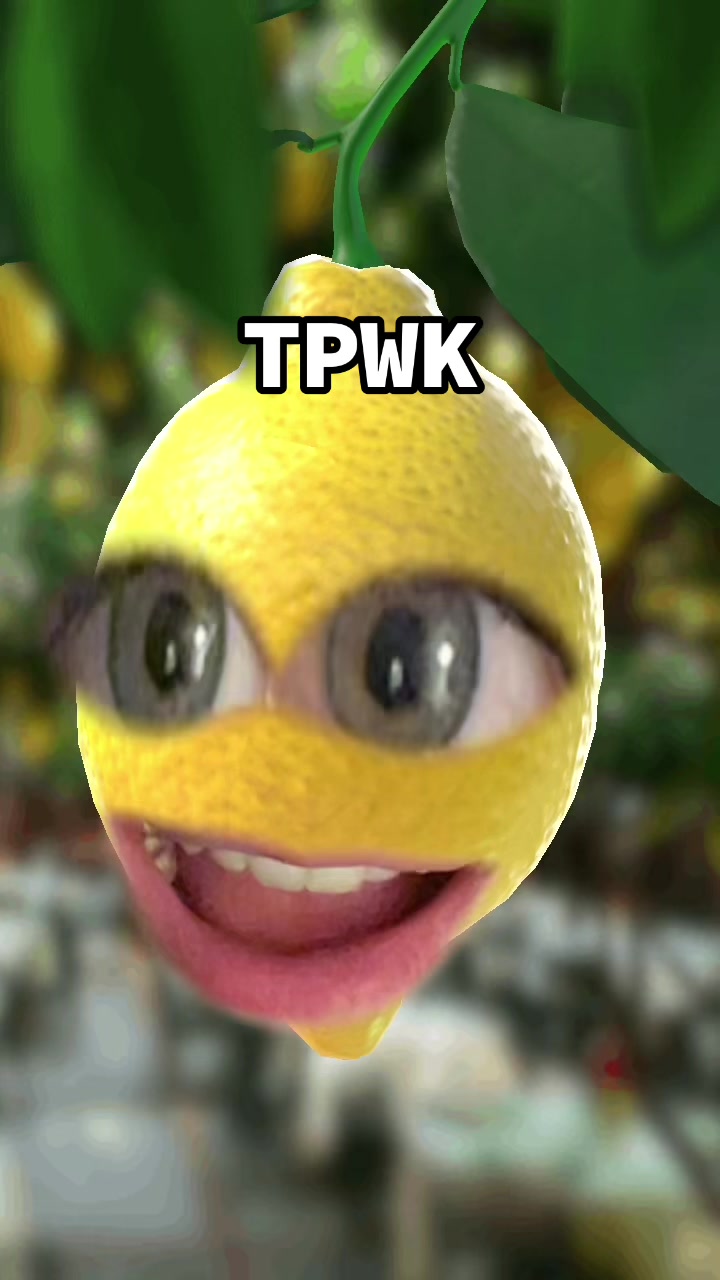 @talkinglemonrry