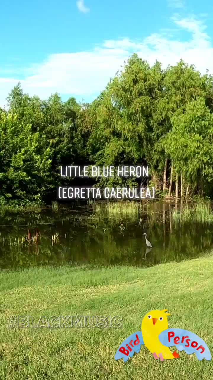 @Emcee Birder