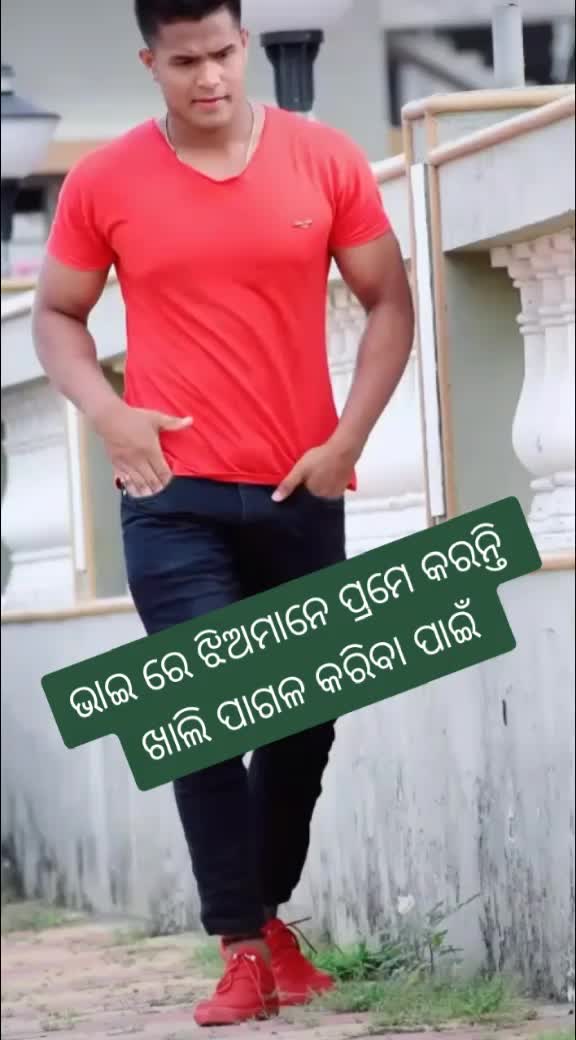 @q2litu ✔