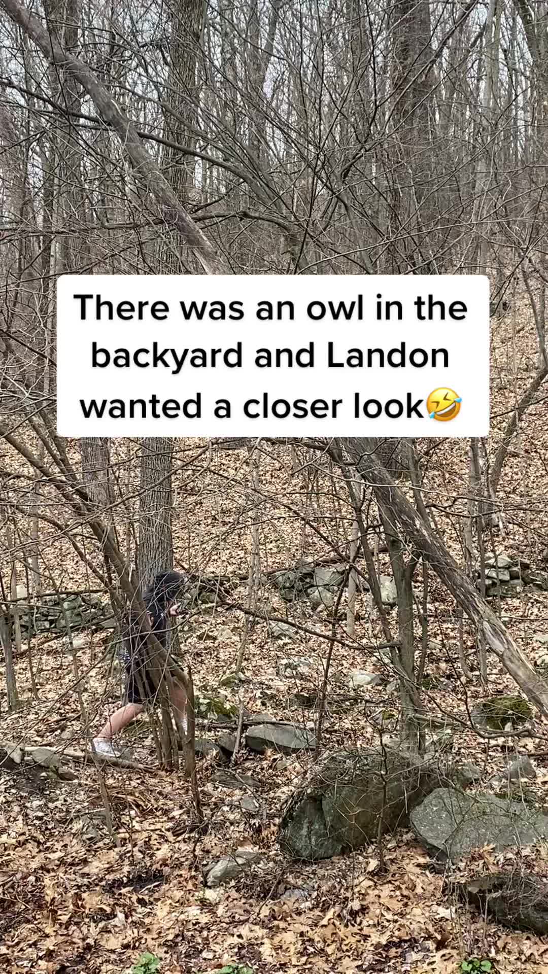 @mommazehr369
