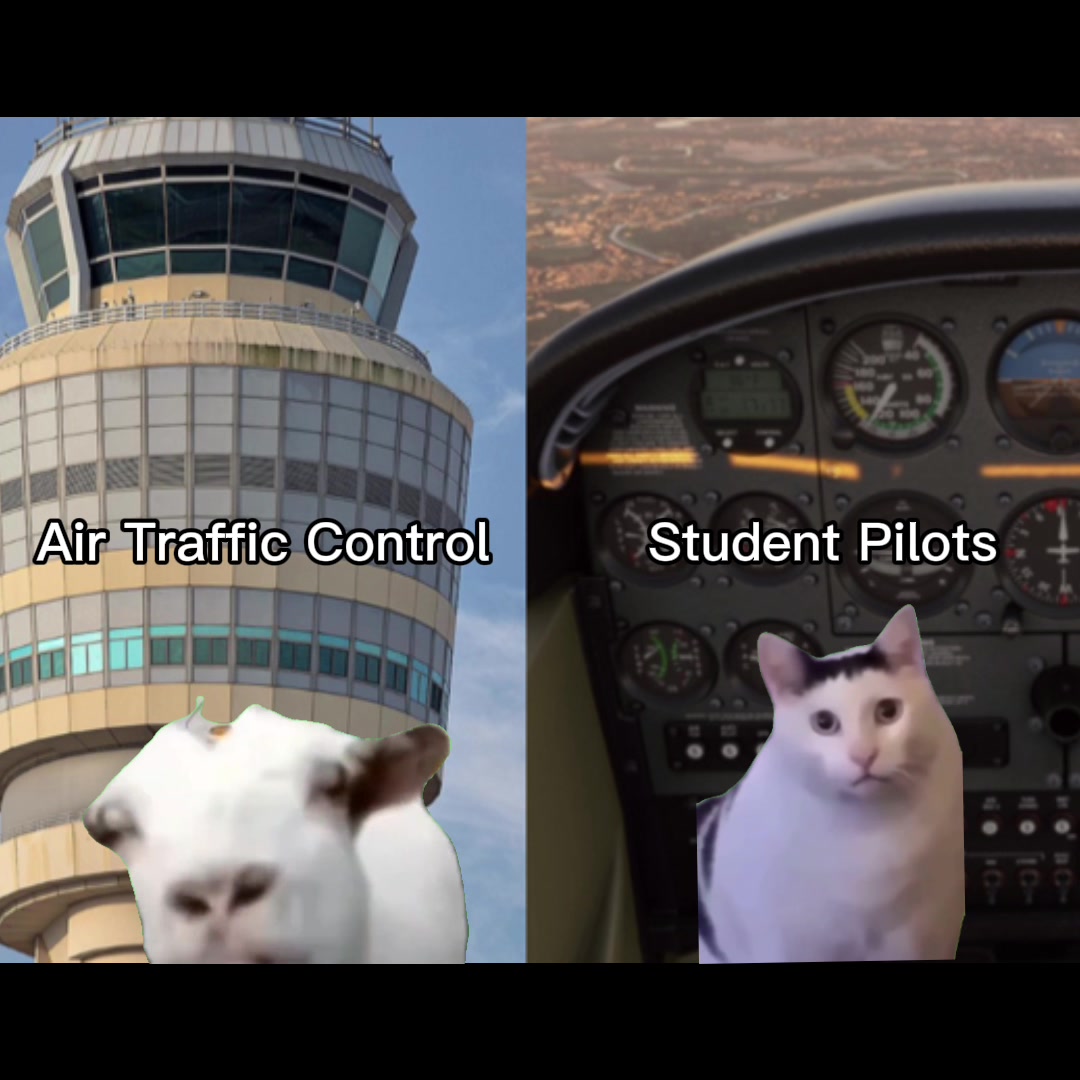 @SkyEagle Aviation Academy