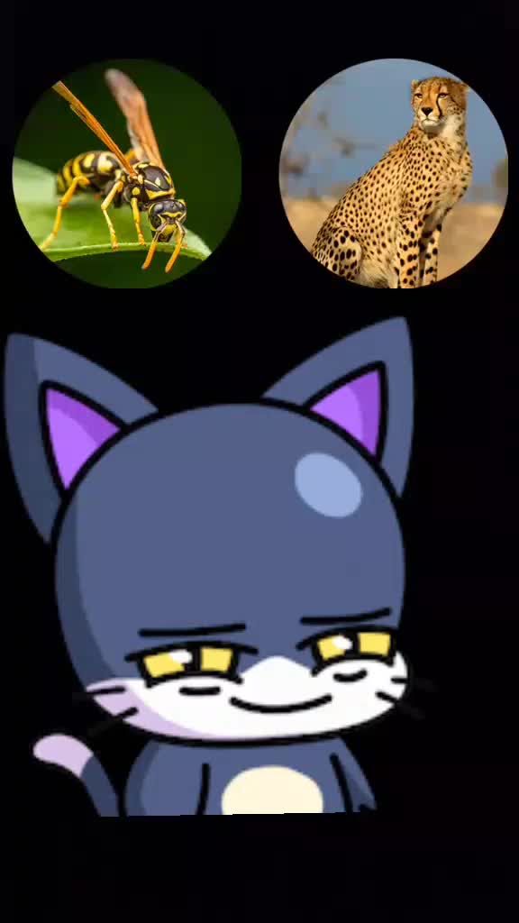 @Android TOP