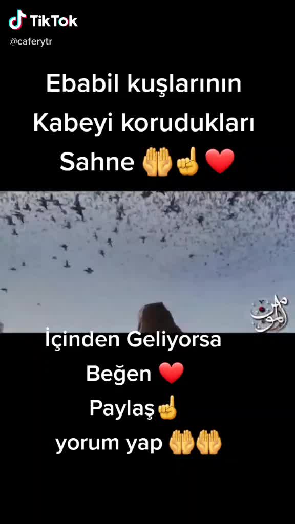 @Cimcime