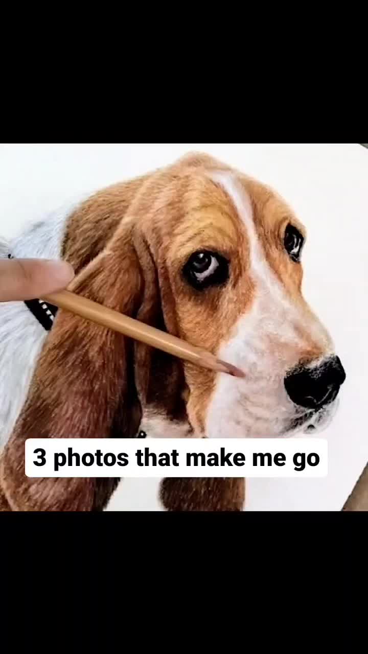 @Paw Prints Pet Art