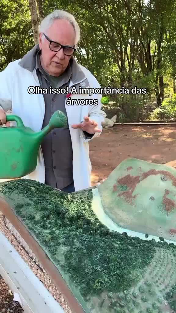 @rodrigopereira304