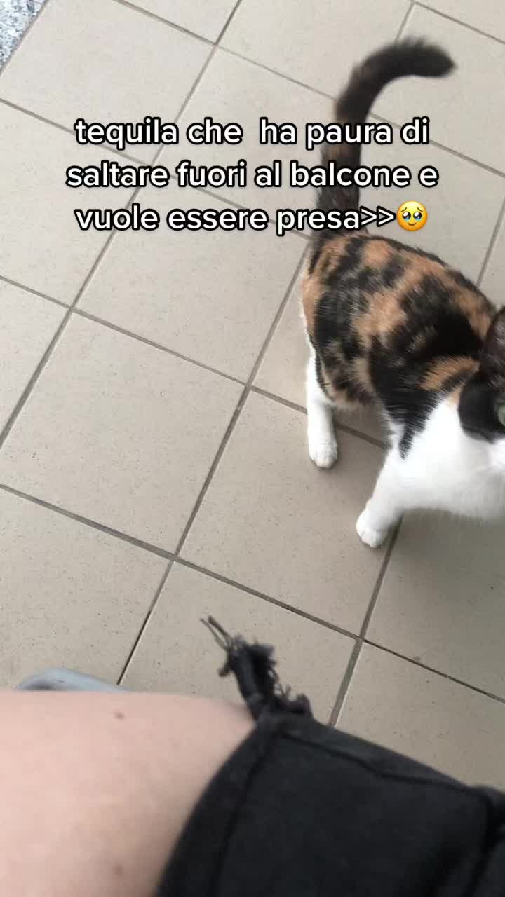 @ᡕᠵ᠊ᡃ່࡚ࠢ࠘ ⸝່ࠡࠣ᠊߯᠆ࠣ࠘ᡁࠣ࠘ <3