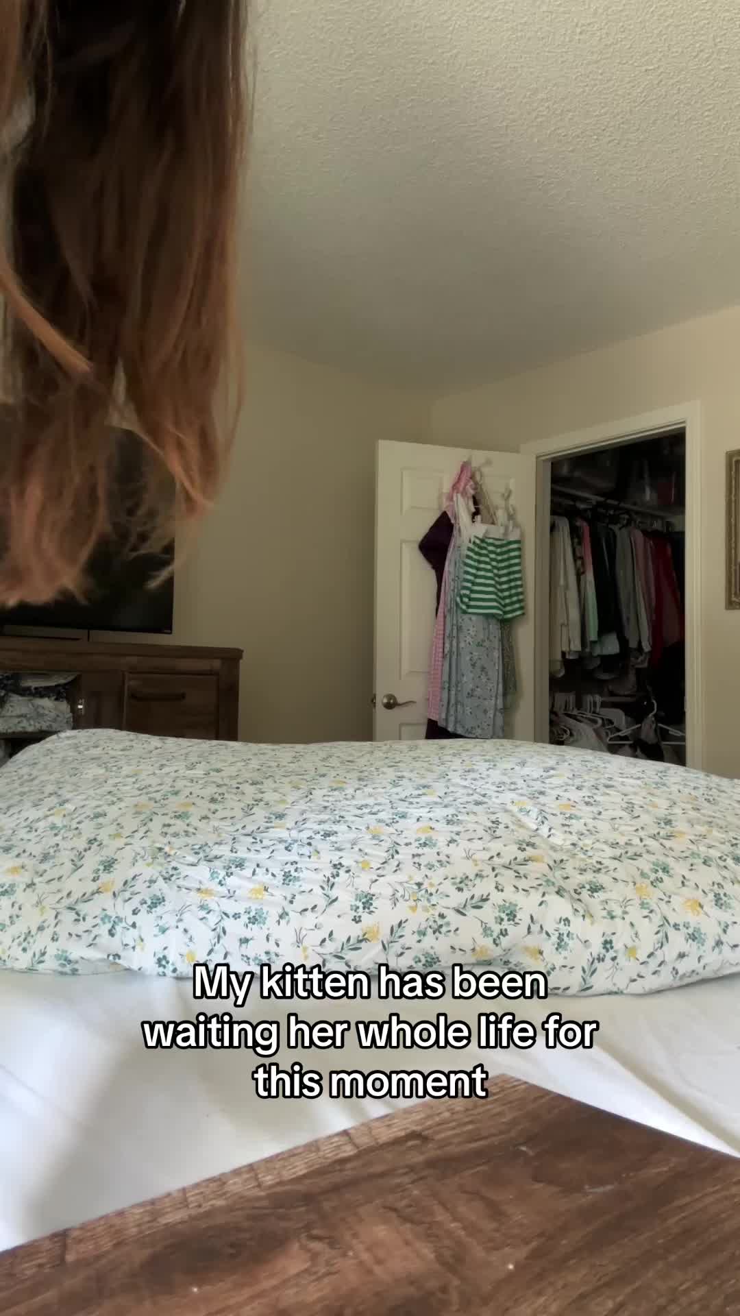 @Rebecca Adam