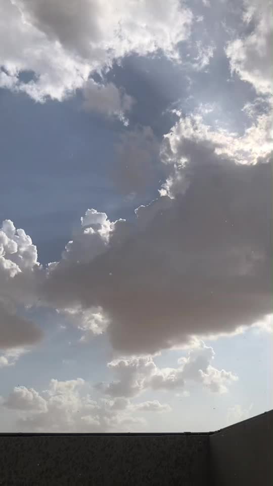 @شِين 🐈