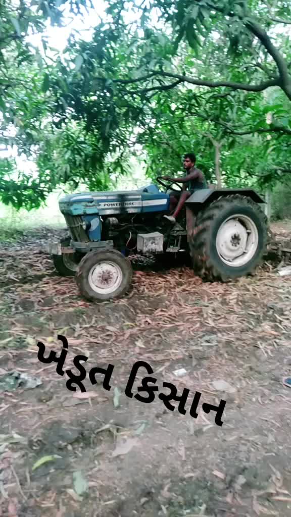 @👑 shayari king 👑