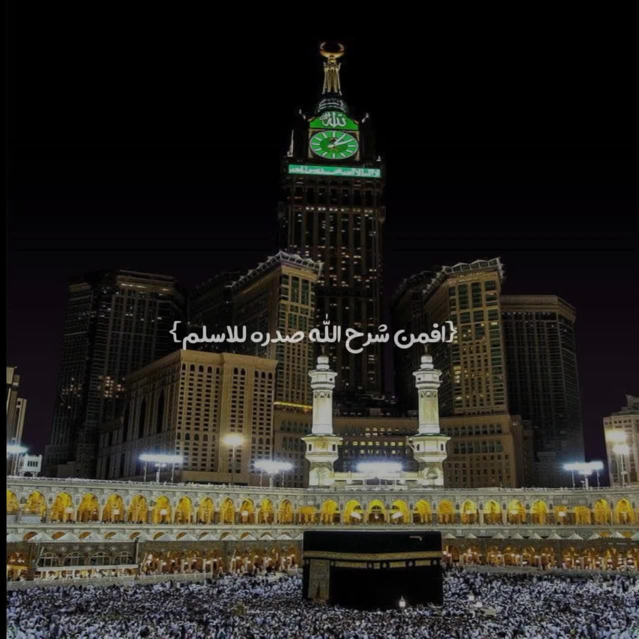 @8_8vo1