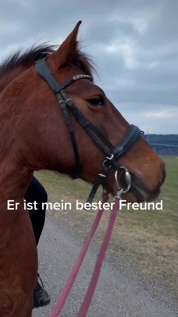@Kassx17