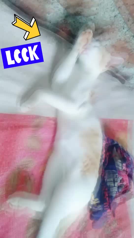 @Sunil jadhav