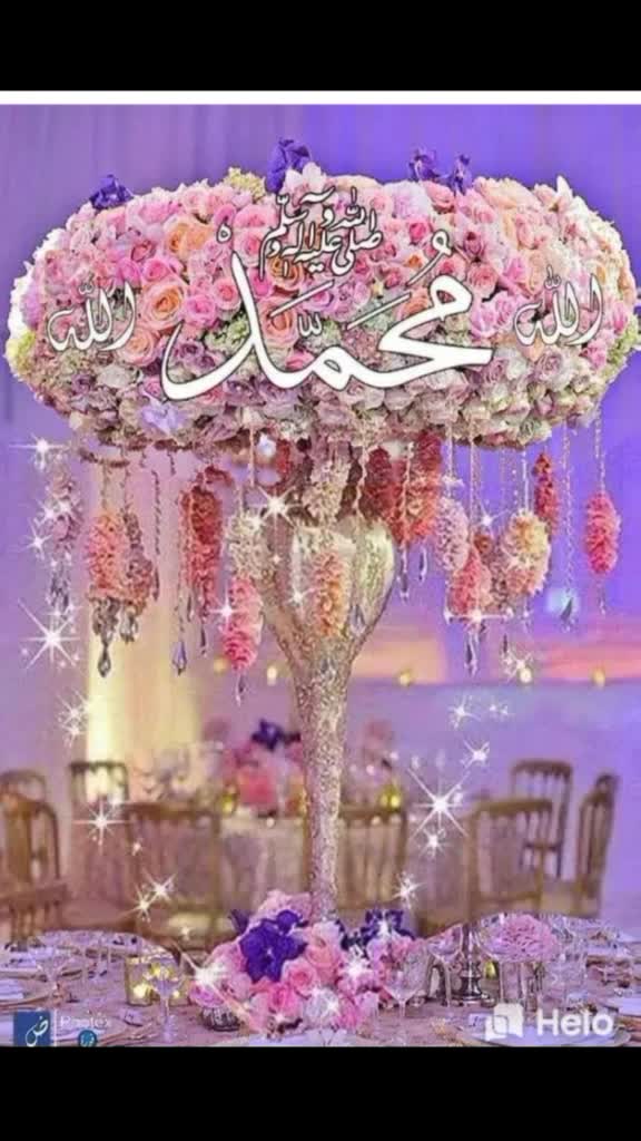 @skatif1137