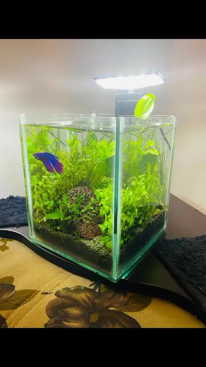 @goldenaquahub
