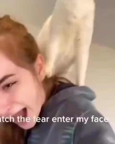 @blank