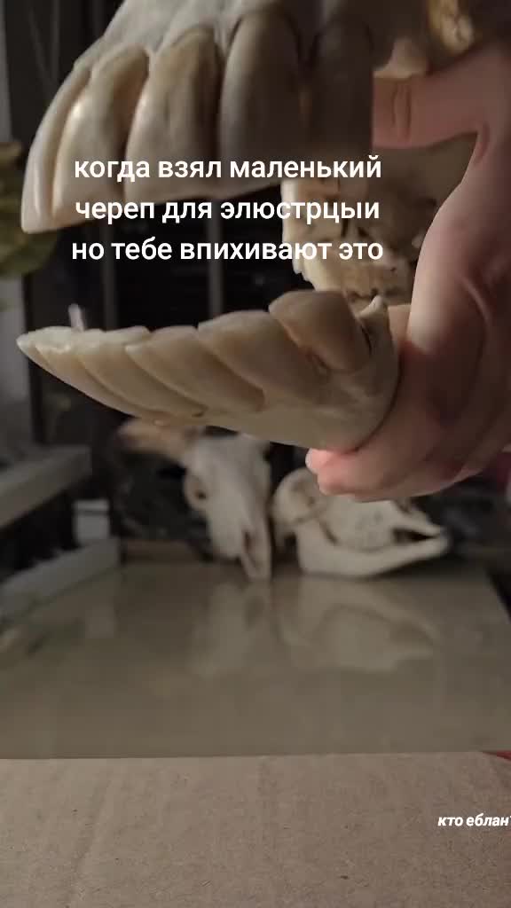 @ТЕПО ДИМОН😈👿