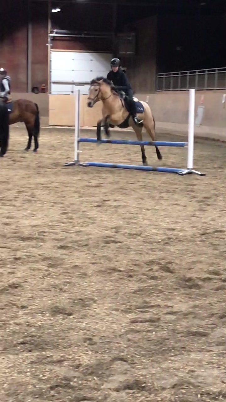 @3 ryttare✨