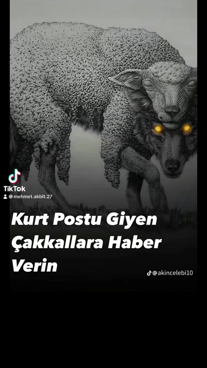 @Mehmet Akbulut