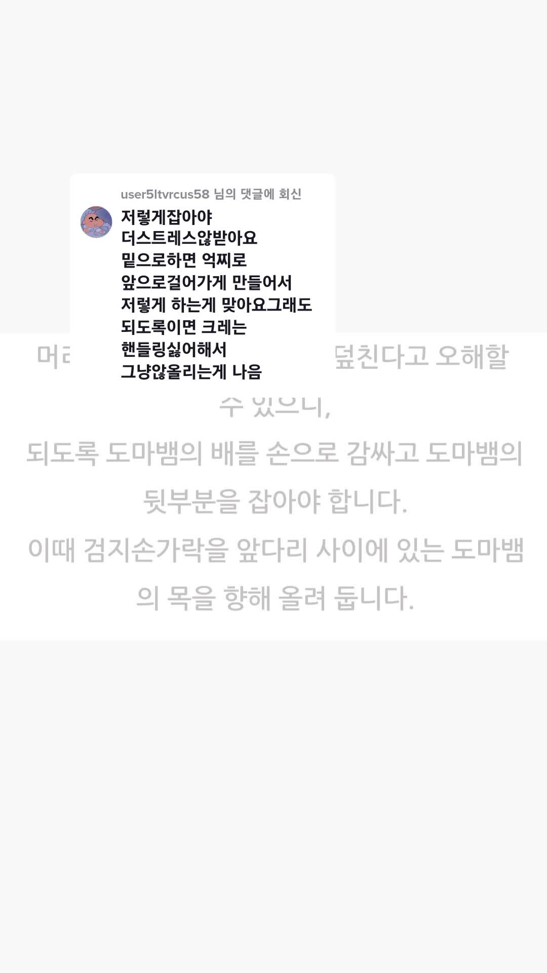 @호랑이서🐯