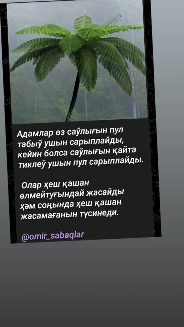 @Гульчи Казбекова