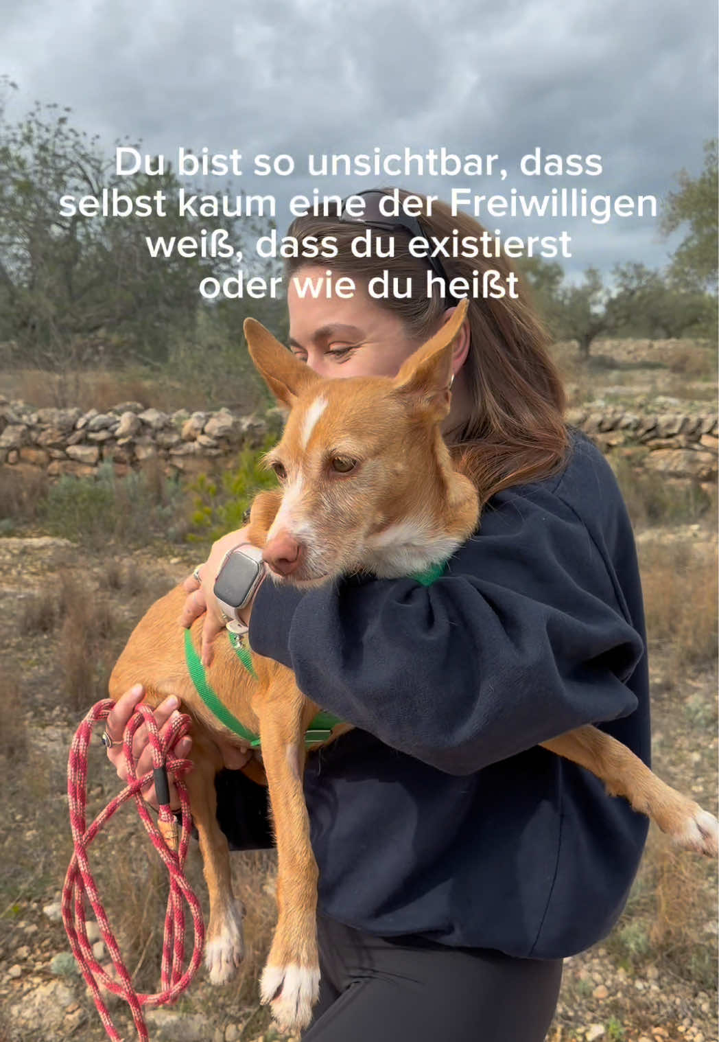 @arcadogsandayleen