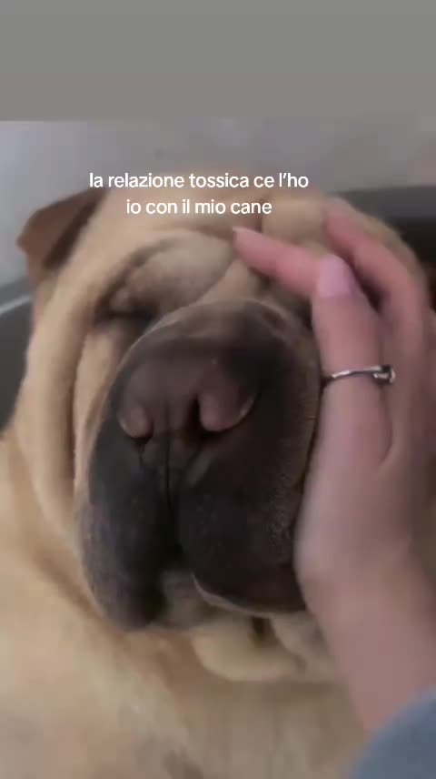 @sery.brando