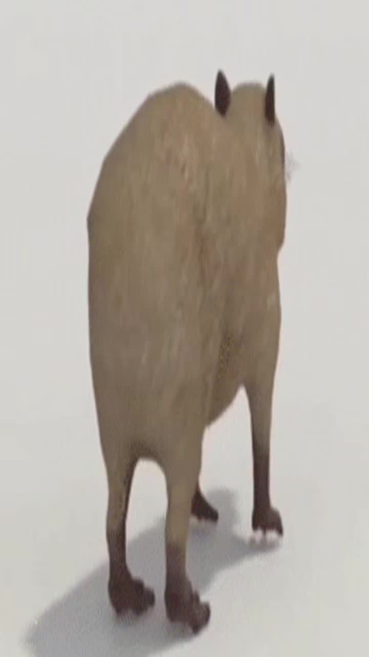 @︻╦̵̵͇̿̿̿̿╤──