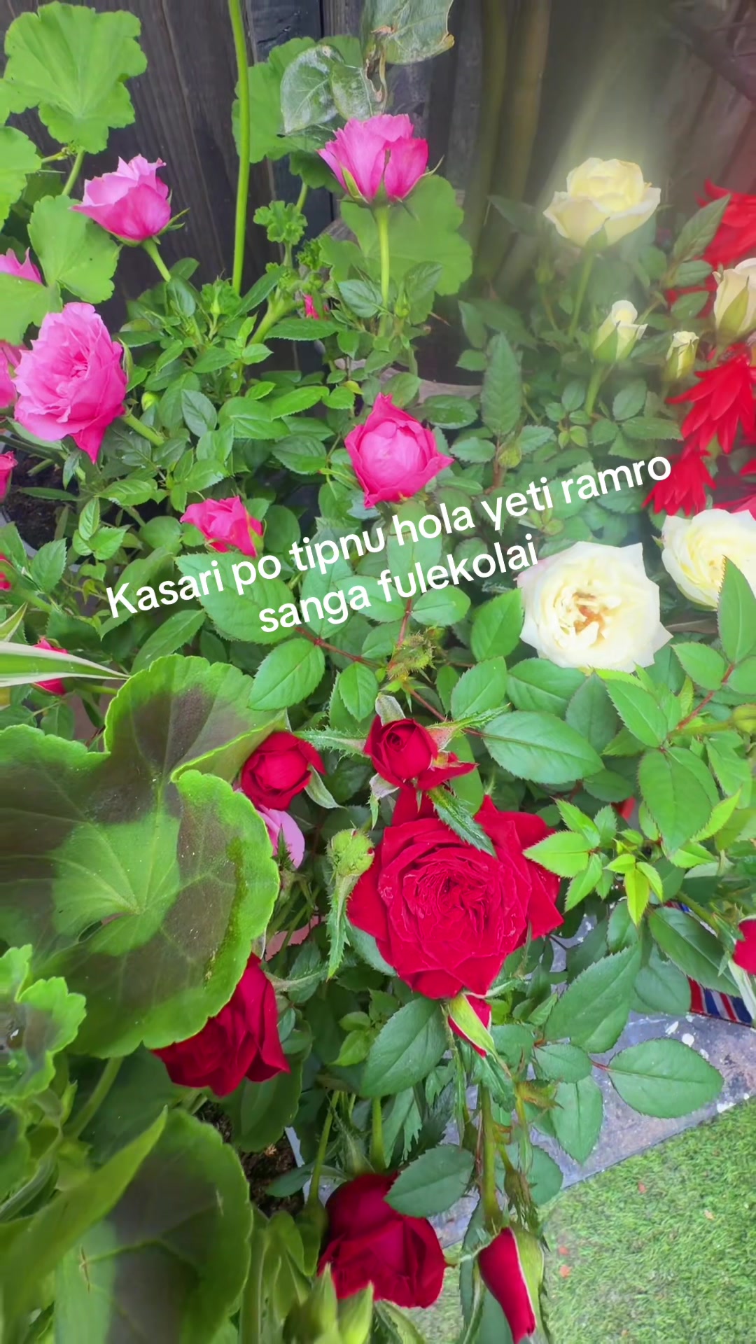 @Rita limbuni