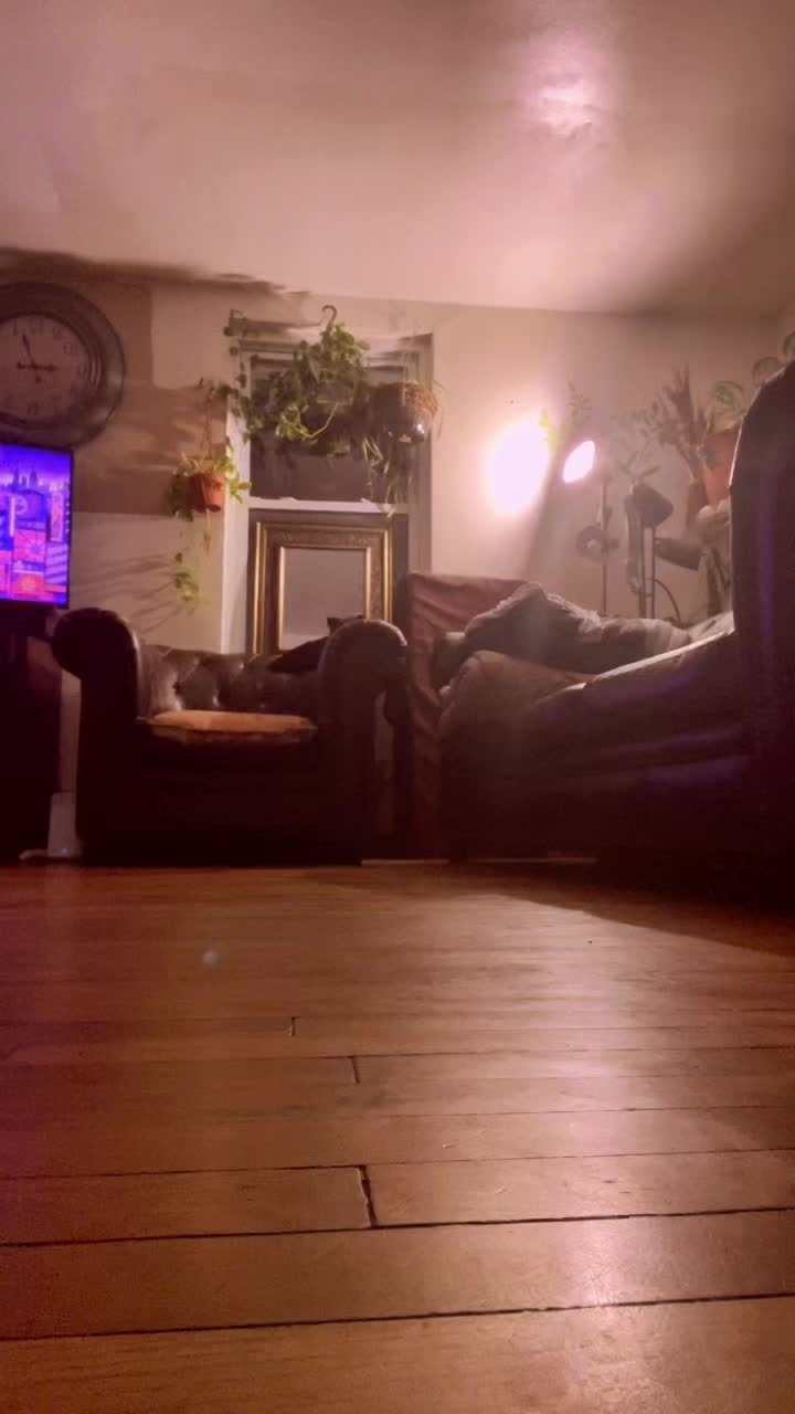 @samariwebb998