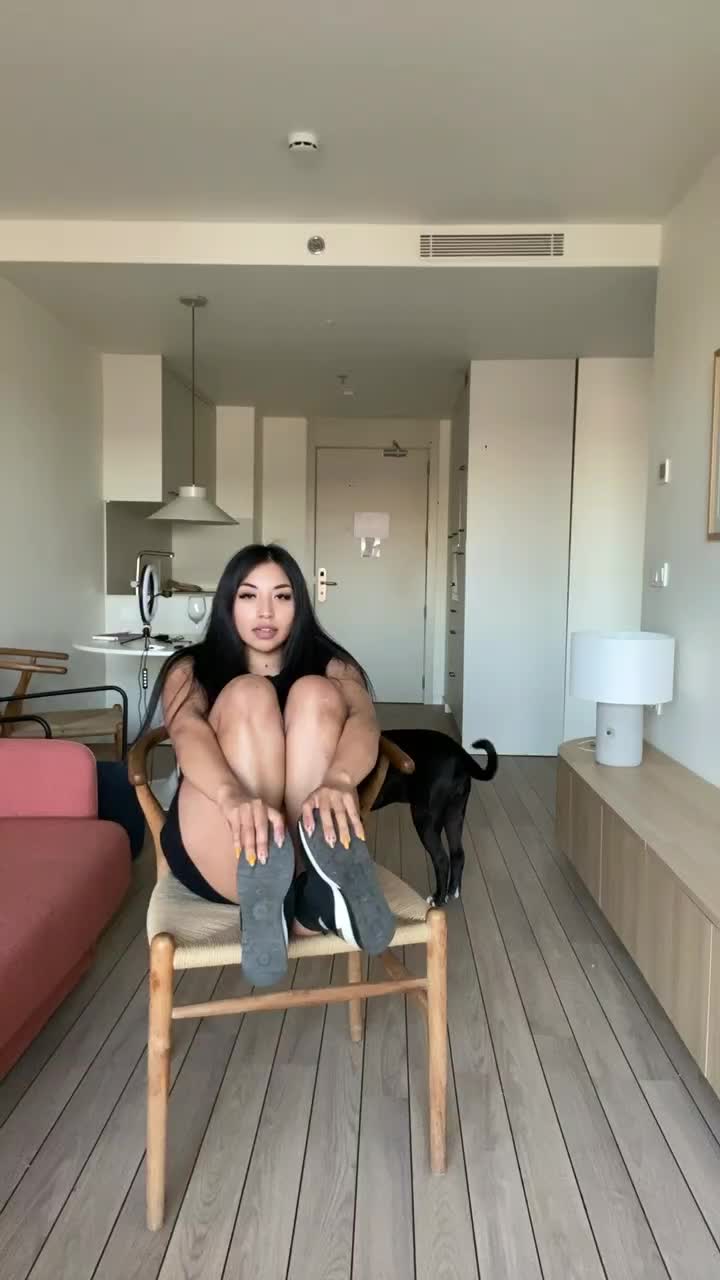 @krisyourdogtrainer