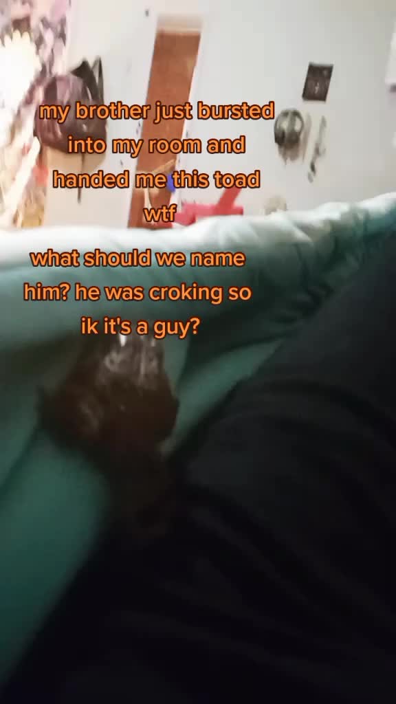 @alan