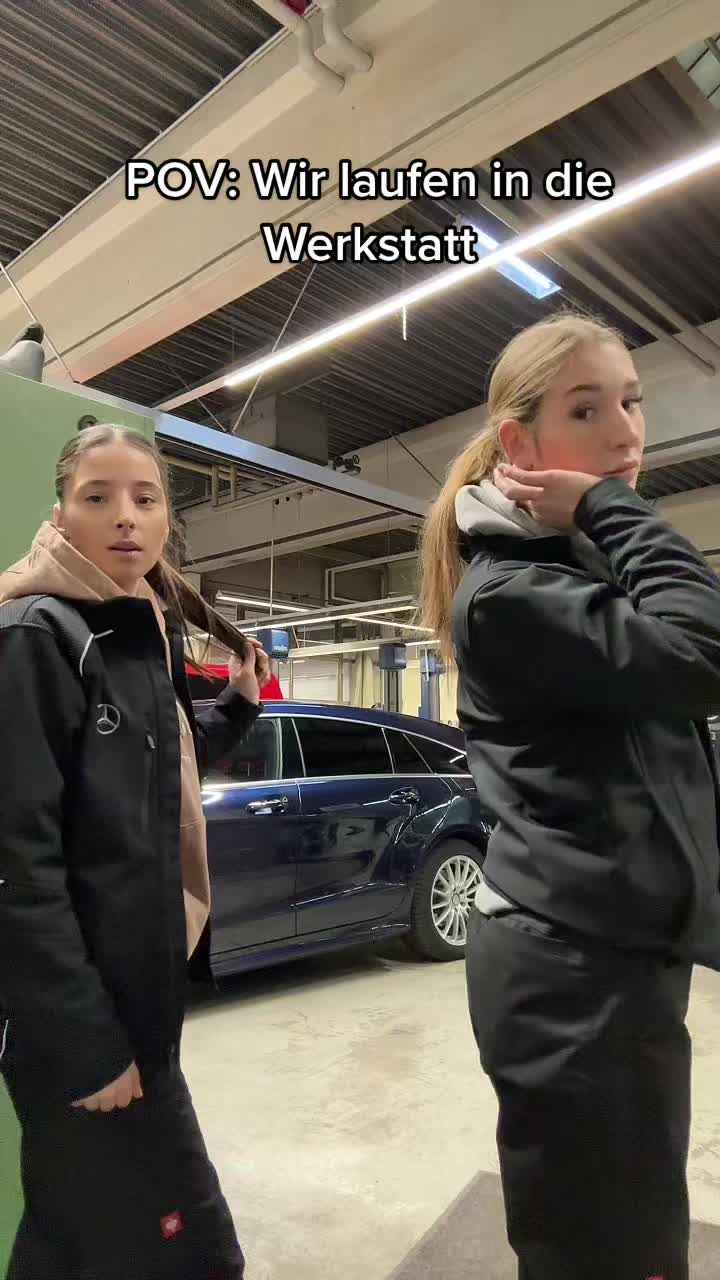 @pauli561