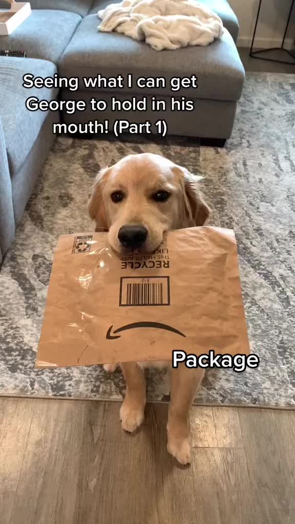 @George The Golden