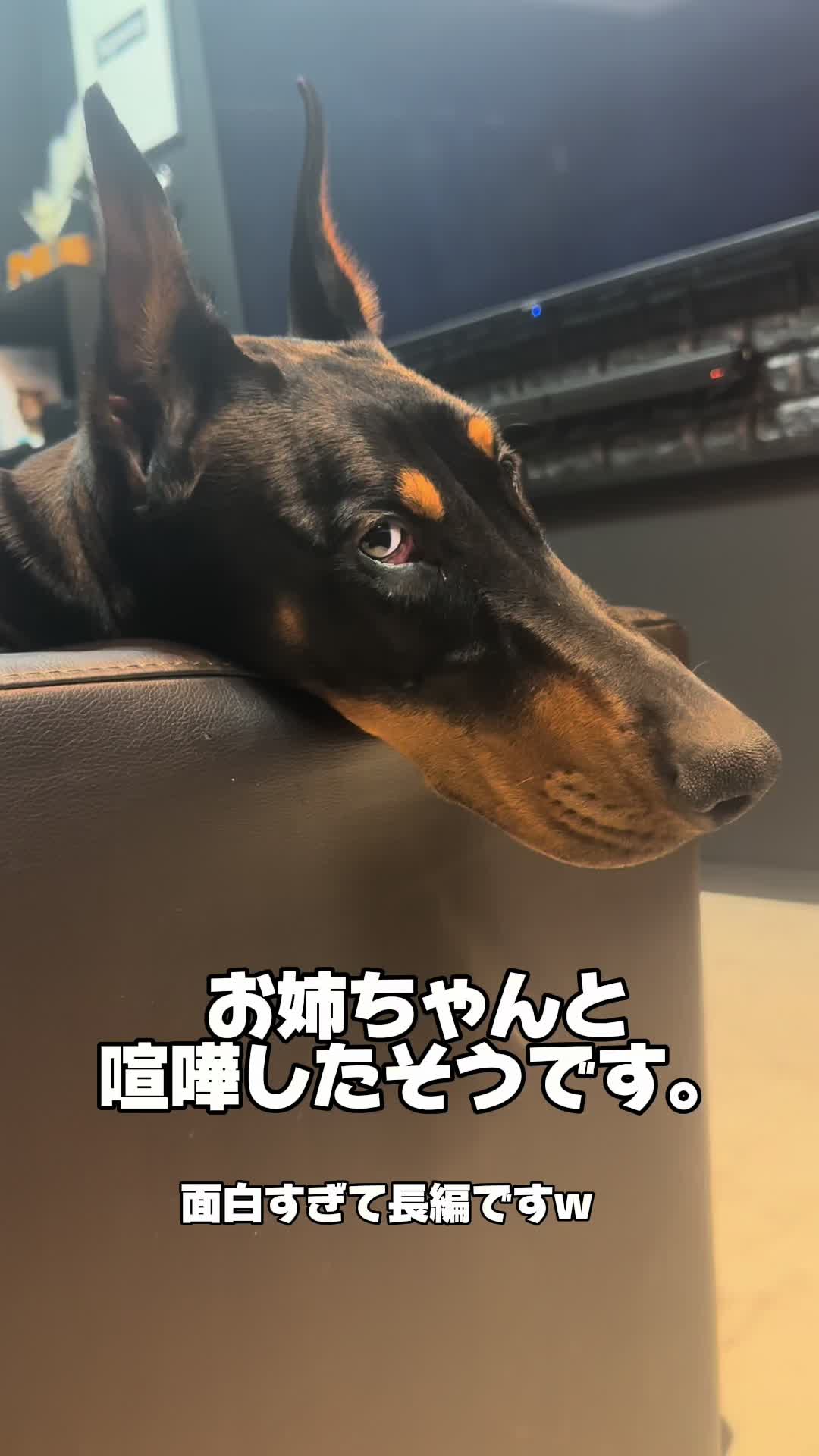 @えのちゃん🖤