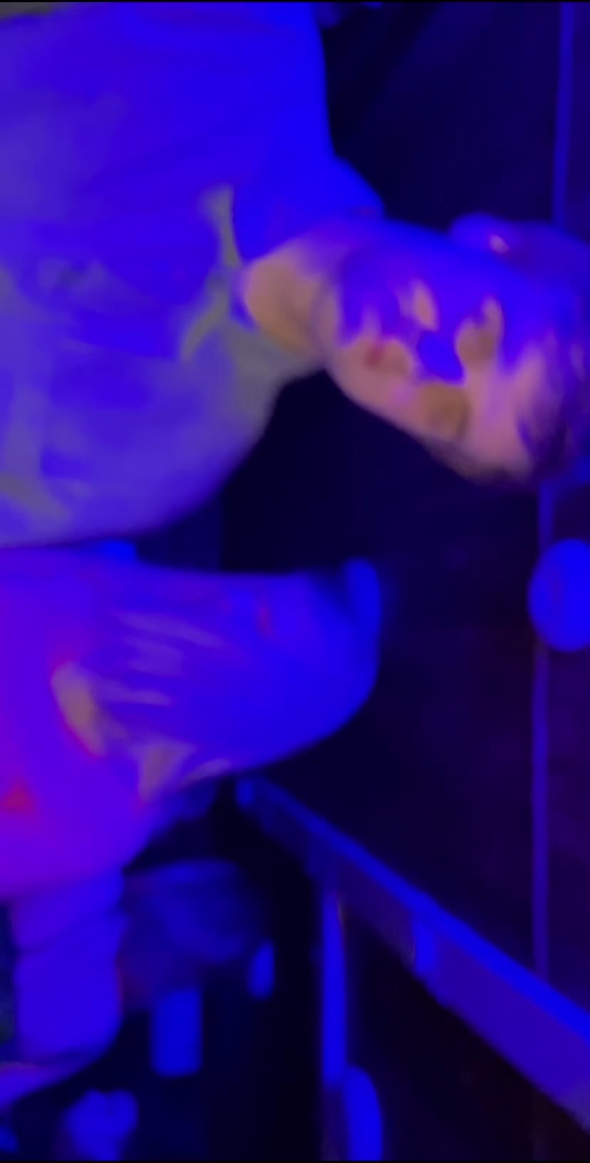 @itskornaga