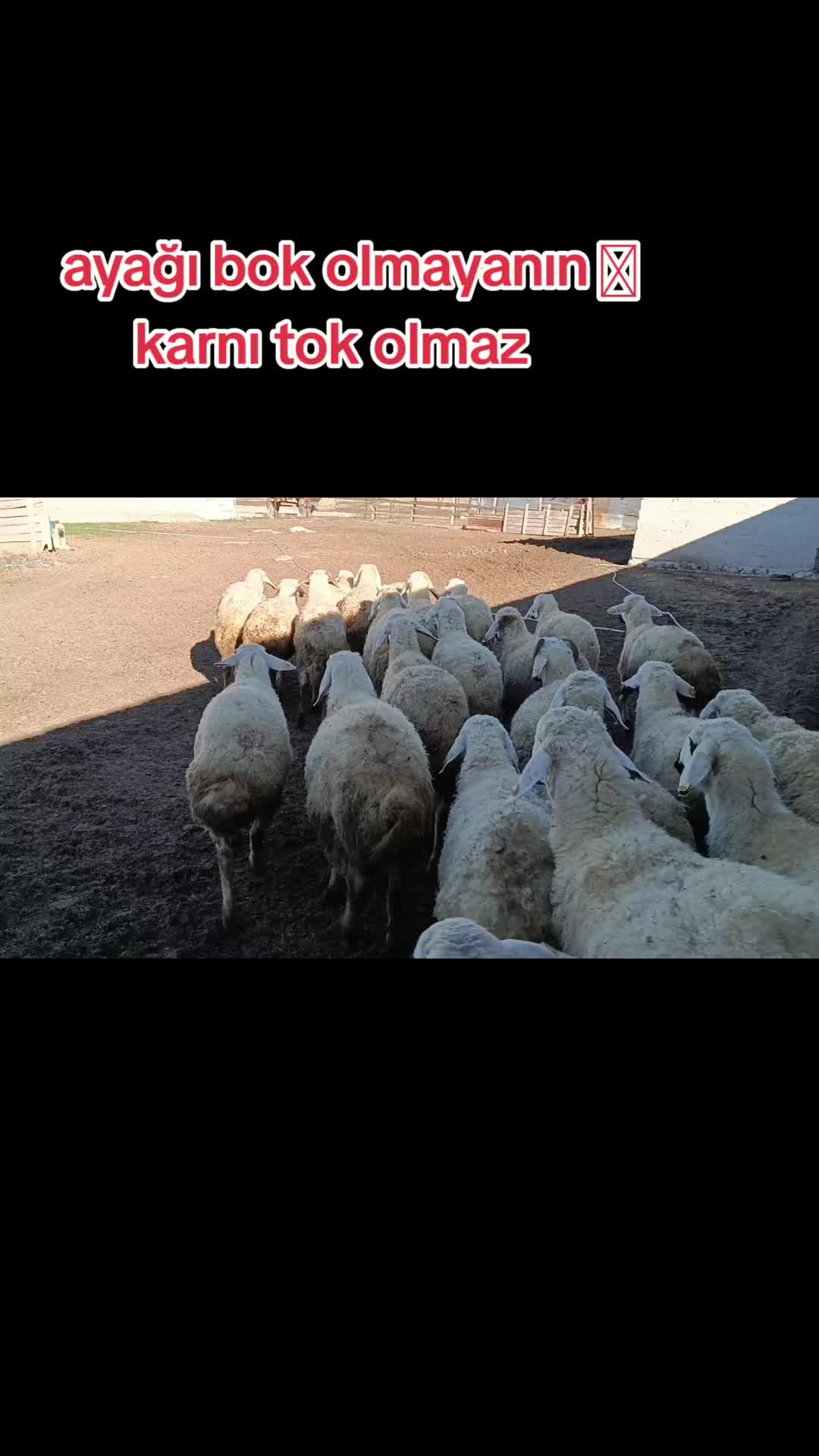 @Ozan Ak&ccedil;ay