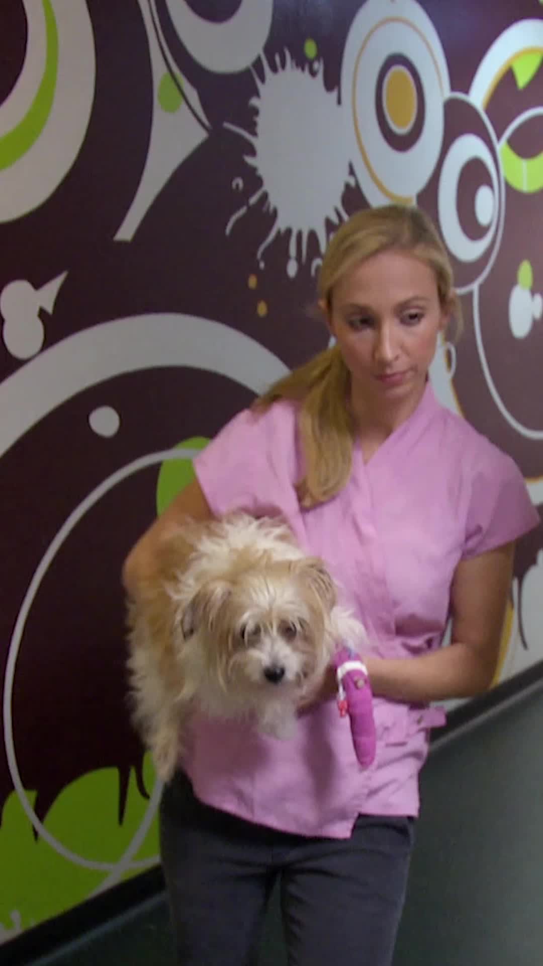 @Bondi Vet