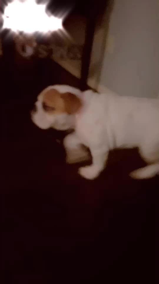 @Miley 🐾🥺❤️