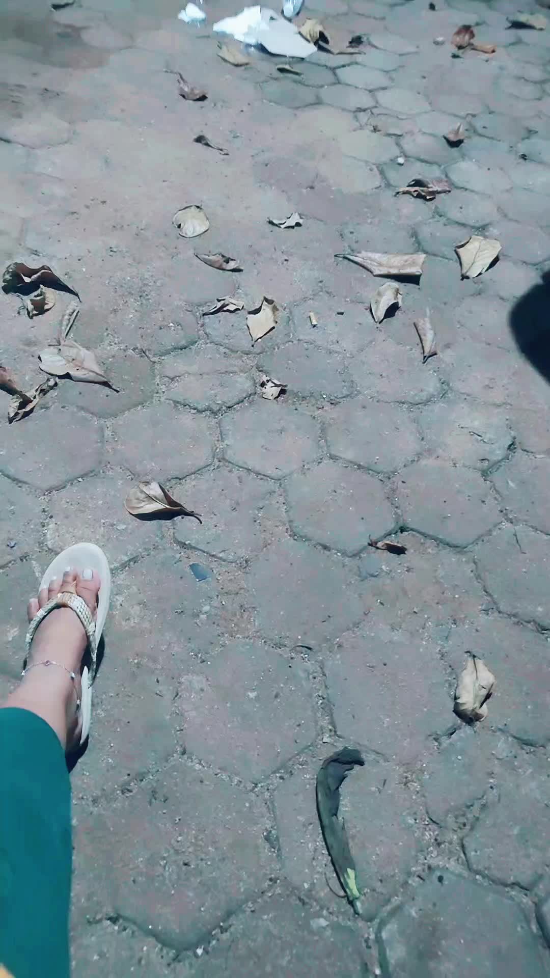@baii