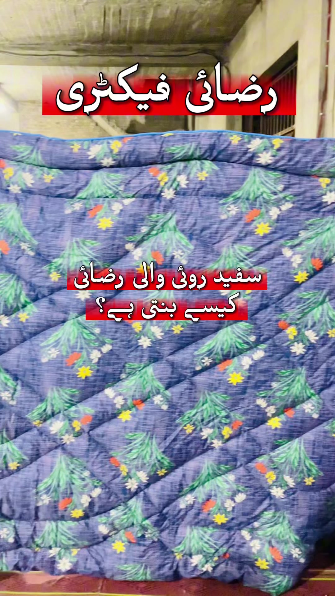 @Islamabad Vlogs