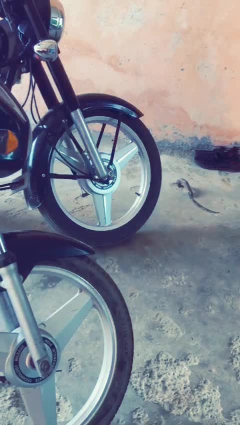 @Vaani gadariya💪