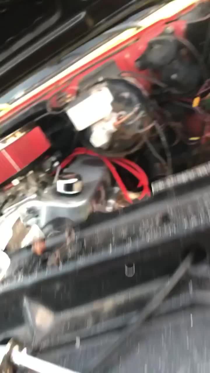 @swampslinger