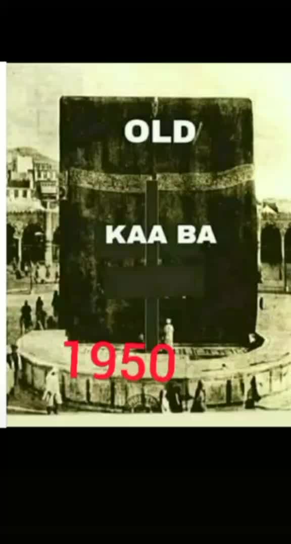 @user79165528957