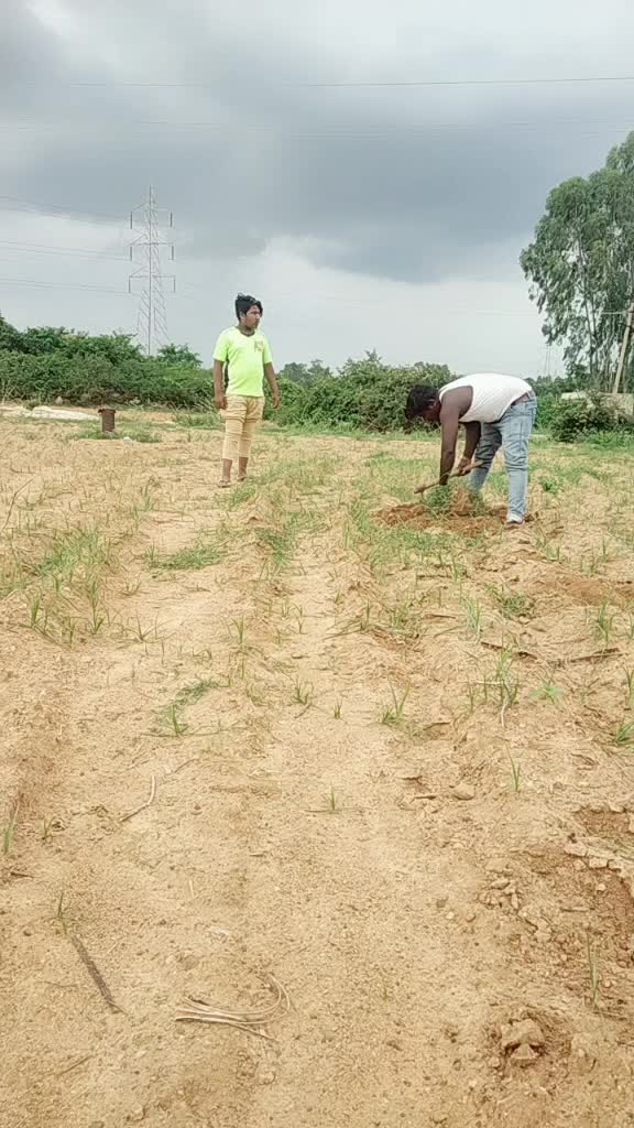 @Venki Raj
