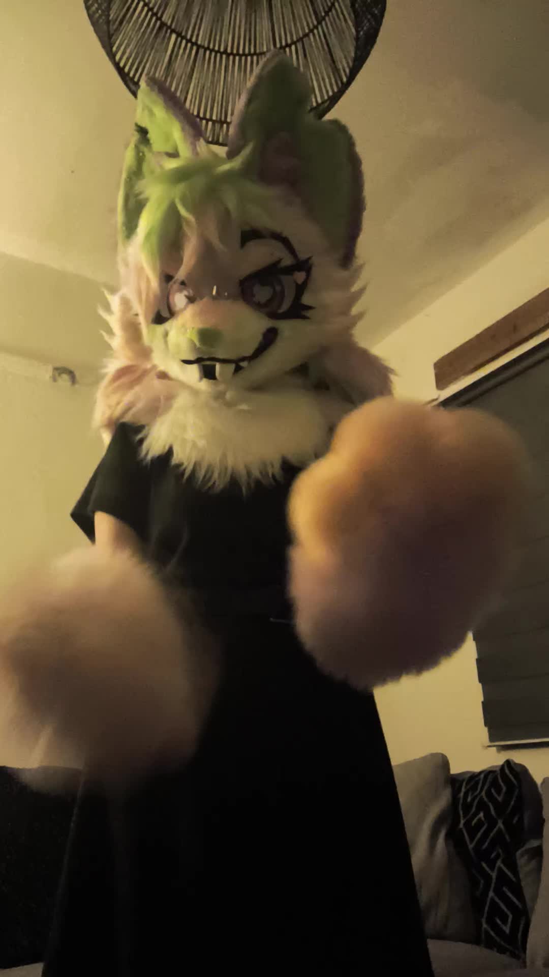 @๐๐ฉLime๐ค๐ค๐ค๐๐ฉ