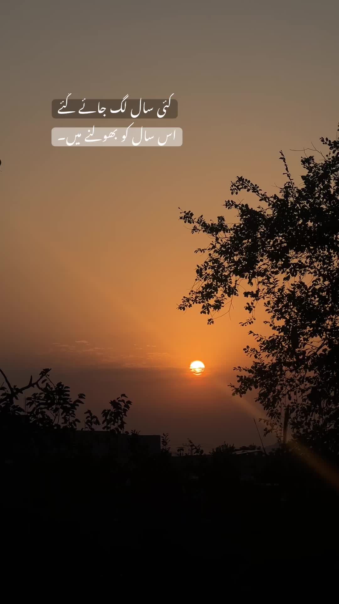 @بکھرے خواب🍂