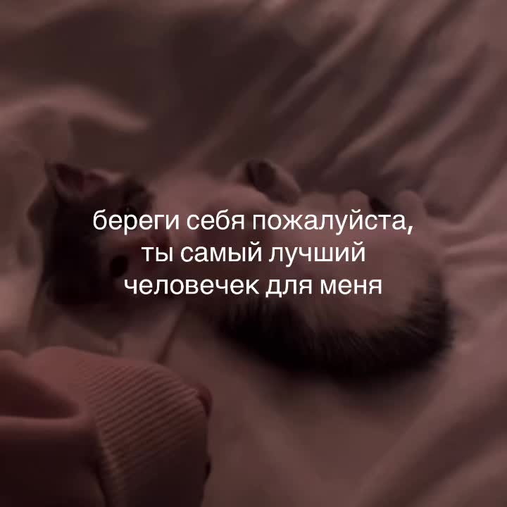 @♡‧₊˚softtiquiet˚₊‧♡