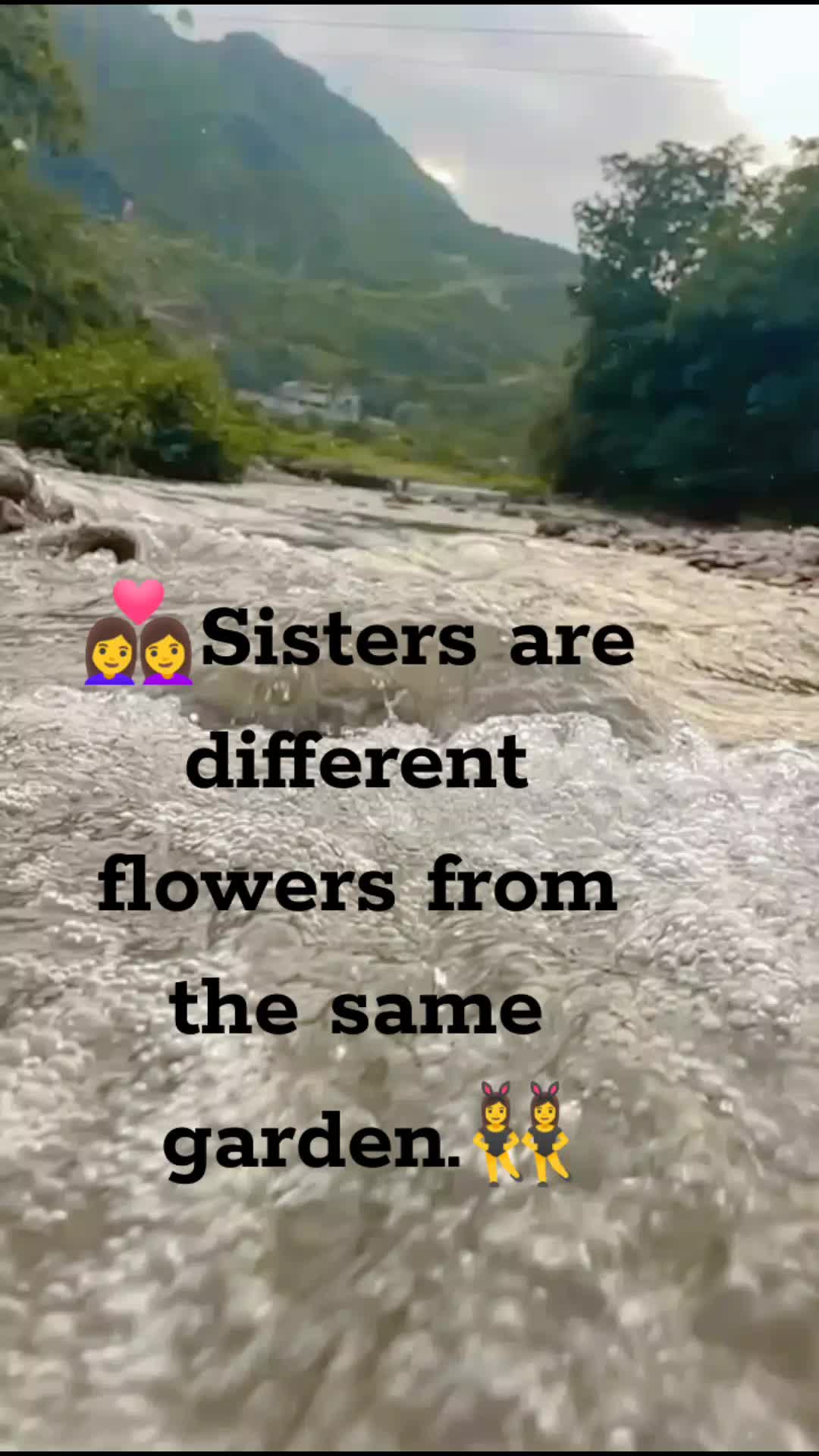 @🦋Aroo Official🎶🦋
