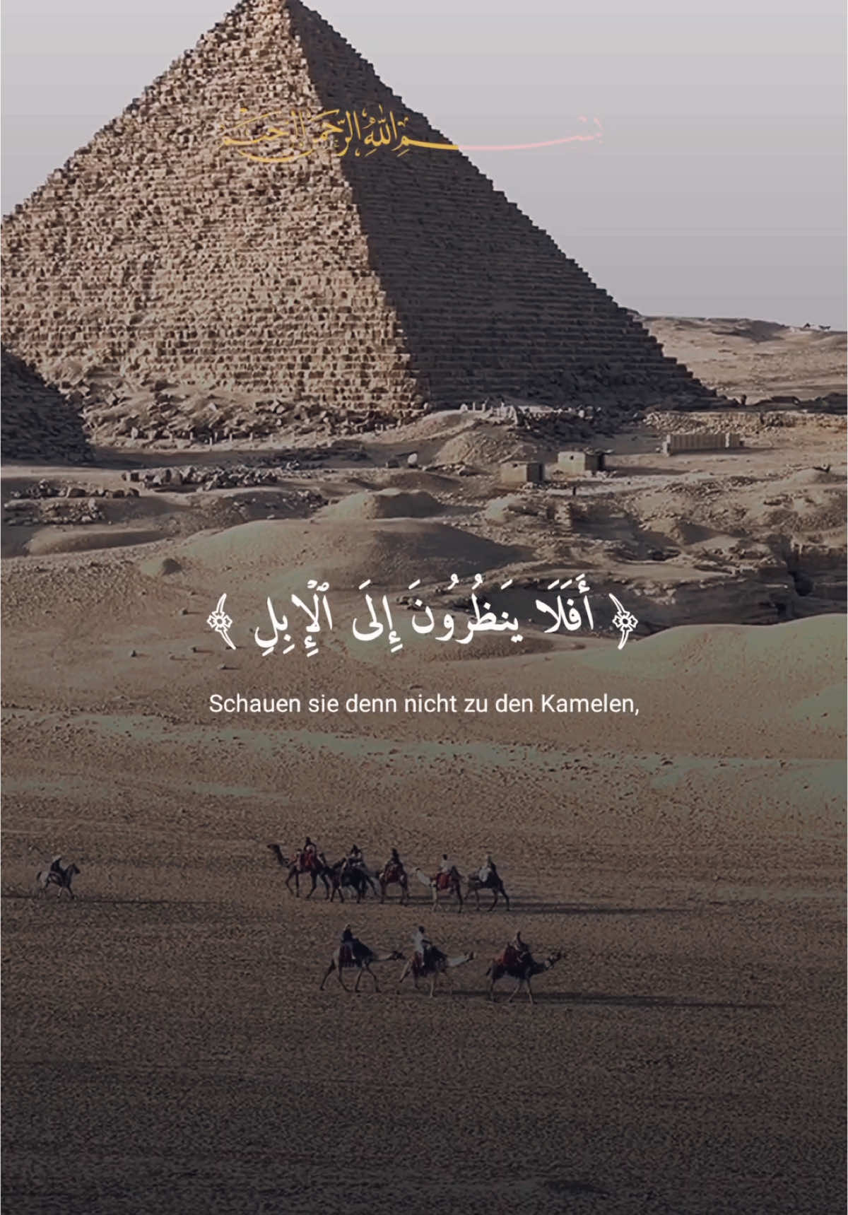@إطّمَئِنْ ••🤍